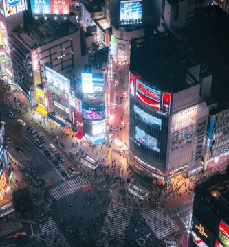 Guía para Explorar la Mística Isla de Yakushima