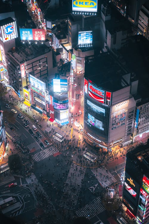 Guía para Explorar la Mística Isla de Yakushima