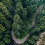 Cómo Planificar un Road Trip por la Costa Este de Australia