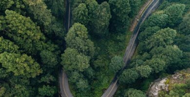 Cómo Planificar un Road Trip por la Costa Este de Australia