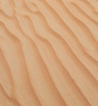 Excursiones al Desierto desde Dubái: Mejores Opciones y Consejos