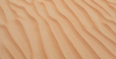 Excursiones al Desierto desde Dubái: Mejores Opciones y Consejos