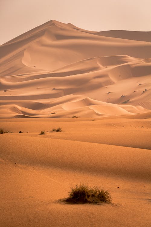 Dormir en el Desierto del Sahara: Mejores Experiencias y Rutas
