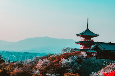 10 Experiencias Únicas en Japón Más Allá de Tokio y Kioto
