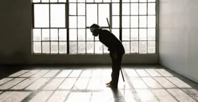 Ryokan y Onsen: La Tradición Japonesa del Alojamiento y Baños Termales